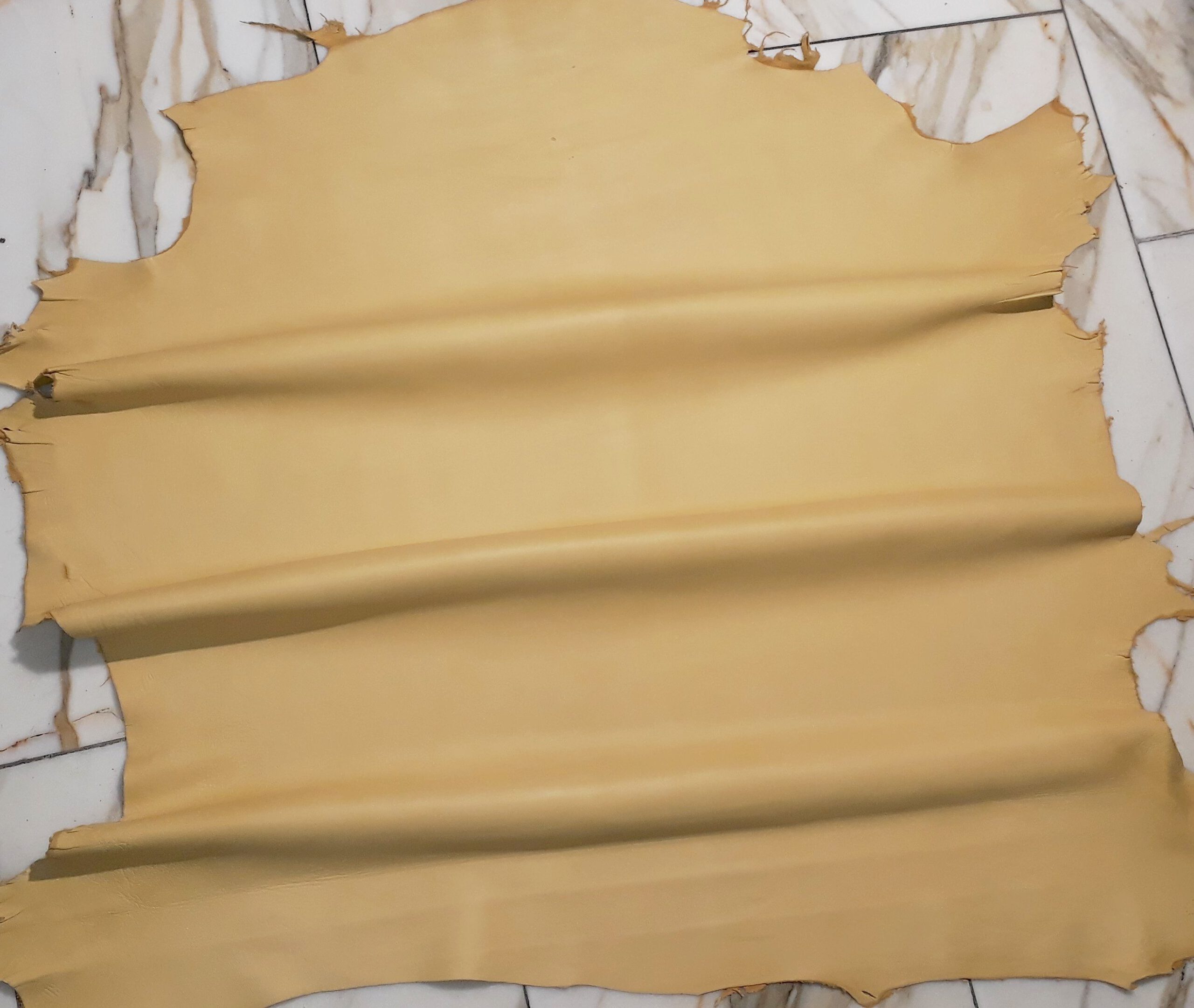 20250429_155339